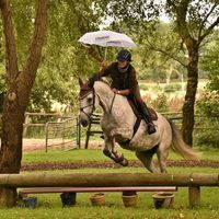 Profile picture Ulrike Gallina