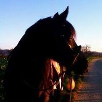 Profile picture Sabine