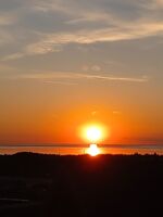 Profile picture Anna