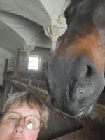Profile picture