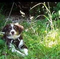 Profile picture Astrid