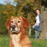 Profile picture Sarah K