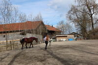 Profile picture Sophia