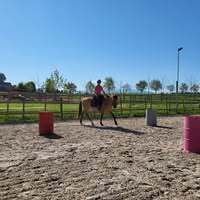 Profile picture Janine Zaugg