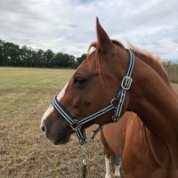 Profile picture Tina