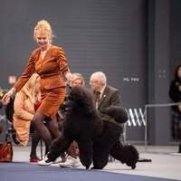 Profile picture Liane Kubbe