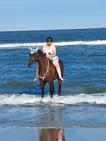 Profile picture Martina Groen