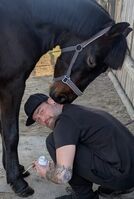 Profile picture Manuel Graf